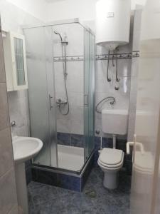 W łazience znajduje się prysznic, toaleta i umywalka. w obiekcie Apartman G&L w mieście Grebaštica