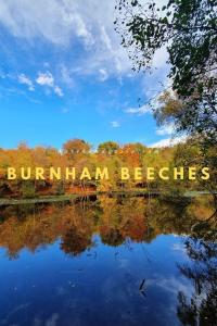 una señal que lee las abejas de Burnham junto a un lago en NEW - Stylish 2 bed, Farnham Common en Hedgerley