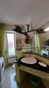 un bagno con lavandino e specchio di Sapore di Mare Apartment a Monterosso al Mare