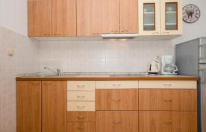 Kuchyň nebo kuchyňský kout v ubytování Apartments Halovic