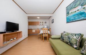 TV a/nebo společenská místnost v ubytování Apartments Halovic