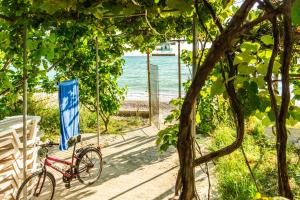 a bike parked on a path near the beach at Camping Jungle in Borsh in Borsh