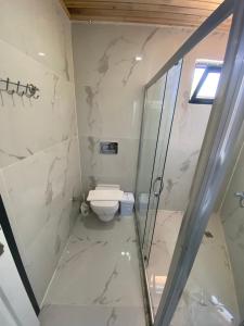 a bathroom with a shower and a toilet at Beyoglu Pansiyon in Patara