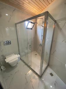 a bathroom with a shower and a toilet at Beyoglu Pansiyon in Patara