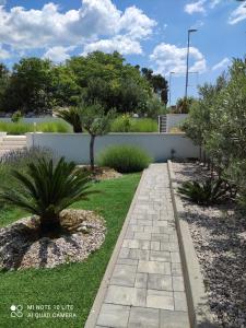 Vonkajšia záhrada v ubytovaní Apartments Villa Hadria
