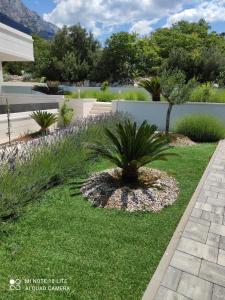 a garden with a palm plant in the grass at Apartments Villa Hadria in Makarska