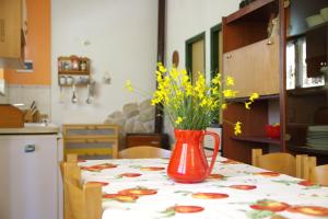 Galeriebild der Unterkunft Holiday home Maria with swimming pool in Vodice
