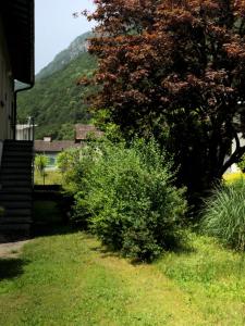 a yard with bushes and a house and a mountain at Casa Silvia in Gordevio