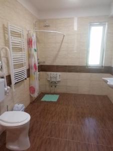 ein Bad mit einem WC, einer Dusche und einem Waschbecken in der Unterkunft ZOLDAV in Nyíradony