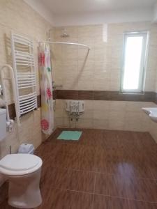 a bathroom with a toilet and a shower and a sink at ZOLDAV in Nyíradony +10 photos