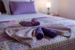 Ein Bett oder Betten in einem Zimmer der Unterkunft Apartments Salis