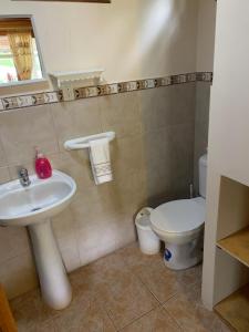 a bathroom with a sink and a toilet at Colinas de Mindo in Mindo