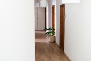 Gallery image of Germany in Olympiada