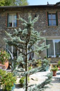 Zahrada ubytování Chambre Bounty, B&B, cuisine privée, lit queen size, terrasse, parking, garage