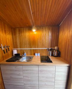 a kitchen with a sink and a counter top at Ežerų glėby in Zarasai