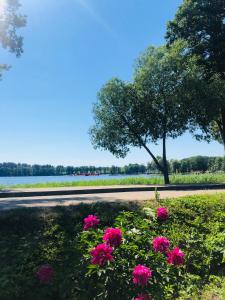 Jardín al aire libre en Ežerų glėby