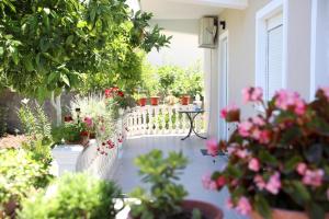 Guest House Narta外面的花园