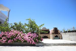 Guest House Narta外面的花园