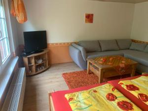sala de estar con sofá y TV en Haus Simon, en Vogelsang