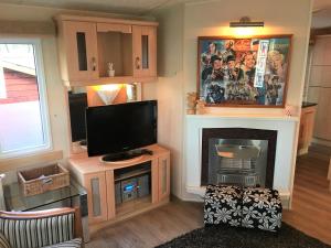 un soggiorno con tv e camino di Prachtige Luxe chalet op de Veluwe nabij Hoenderloo a Hoenderloo