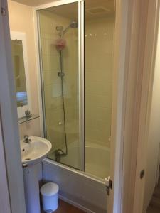 een badkamer met een douche en een wastafel bij Prachtige Luxe chalet op de Veluwe nabij Hoenderloo in Hoenderloo