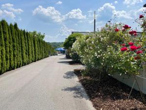 Zahrada ubytování Aparthotel nah dran