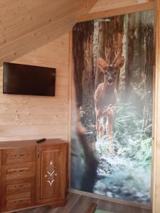 Fotografia z galérie ubytovania Szałas na krawędzi v destinácii Bukowina Tatrzańska