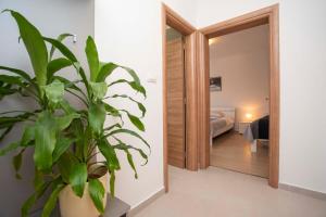 a potted plant in a room with a bedroom at Apartmani Marica in Plomin