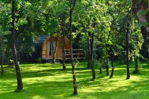 a cabin in the middle of a field with trees at Glamping Dragonja River in Šmarje
