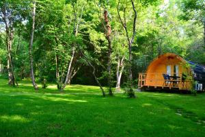 a yurt in the middle of a field with trees at Glamping Dragonja River in Šmarje
