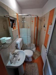 a bathroom with a toilet and a sink and a shower at Pensiunea Eden in Curtea de Argeş