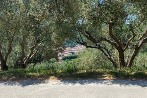 um grupo de árvores e relva e uma estrada em Studio Collobrières Vue sur village em Collobrières