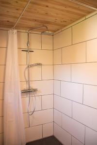 a shower with a shower curtain in a bathroom at Apfelhaus in Wagna