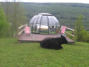 Fotografie z fotogalerie ubytování Ferme des baillards v destinaci Bélesta