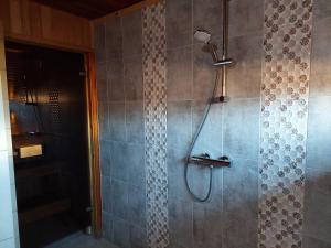 a shower with a shower head in a bathroom at Mesikamäe Saunamaja in Põlva