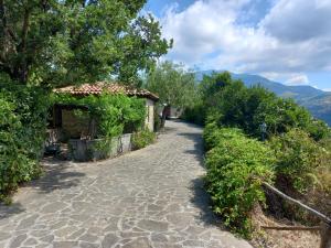 a cobblestone path leading to a house with a mountain at Dormire al Casale in San Mauro Cilento