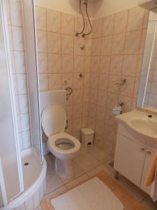 a bathroom with a toilet and a shower and a sink at Apartments and Rooms Jasna in Hvar