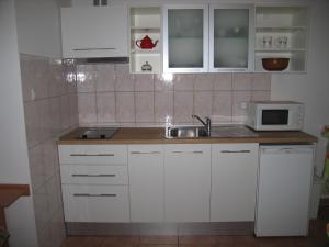 Kuchyňa alebo kuchynka v ubytovaní Studio Max with parking + 8 fotografií