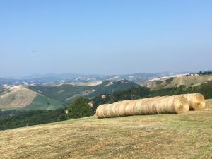 Paisaje cerca de este agroturismo