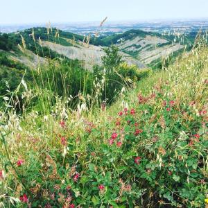 Ảnh trong thư viện ảnh của La Palazzina di Ciagnano ở Ozzano dell Emilia