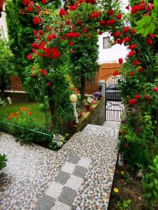 a garden with red flowers and a stone walkway at Pensiunea Eden in Curtea de Argeş