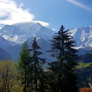 two tall pine trees in front of a mountain at Appartement Saint Gervais les Bains vue imprenable Mont Blanc in Saint-Gervais-les-Bains