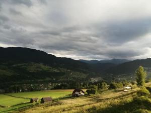 KrasnikにあるДовбушева Садибаの山を背景にした畑の眺め