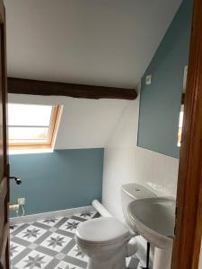 a bathroom with a toilet and a sink at Gîte La Roche in Reffuveille +33 photos