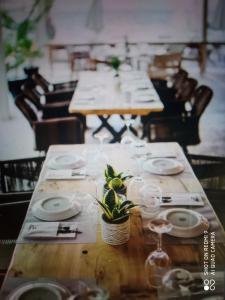 un lungo tavolo con occhiali e una pianta in vaso di Apostolia Lux Apartments a Volos