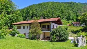 a house in the middle of a green field at Ferienhaus Achental in Schleching