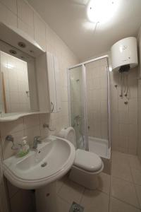 a bathroom with a sink and a toilet and a shower at Guest house Zenović in Petrovac na Moru