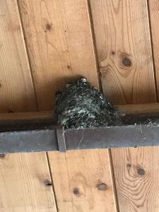 Fotografie z fotogalerie ubytování Hering FeWo I Apartment Terrace v destinaci Wiek auf Rügen 