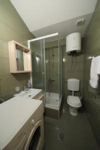 a bathroom with a shower and a toilet and a sink at Guest house Zenović in Petrovac na Moru