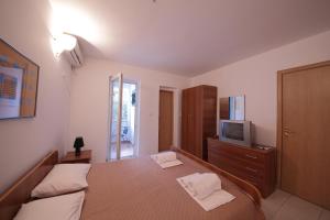 TV a/nebo společenská místnost v ubytování Guest house Zenović